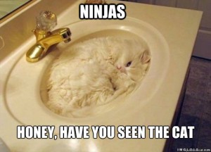 catninja