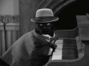 piano_cat